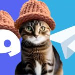 catwifhat wif 1